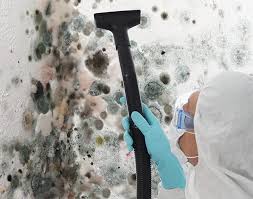 Biohazard Mold Removal in Richboro, PA